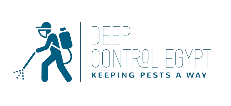 Deep Control Egypt